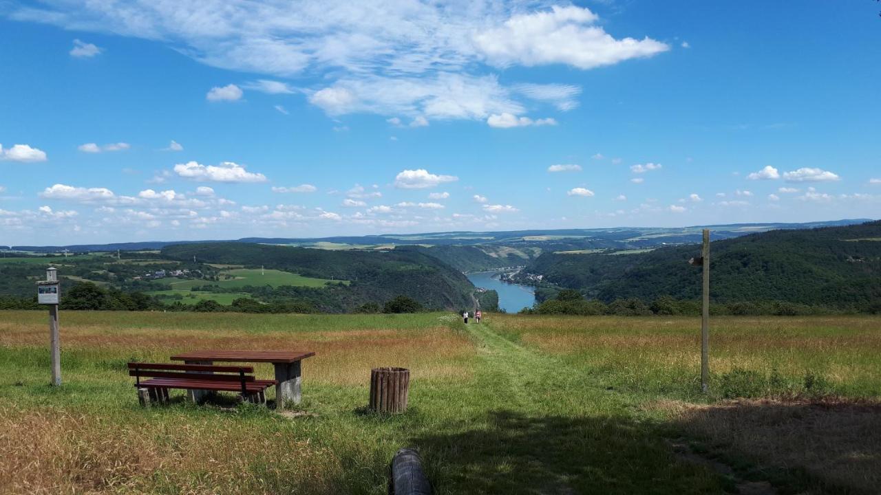 4-Sterne Ferienwohnung Carbach -Perfekt Fuer Radfahrer- Boppard Exteriér fotografie